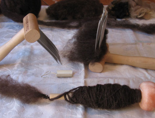 Spinning wool with a viking style drop spindle